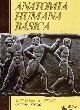 Anatomia humana básica
