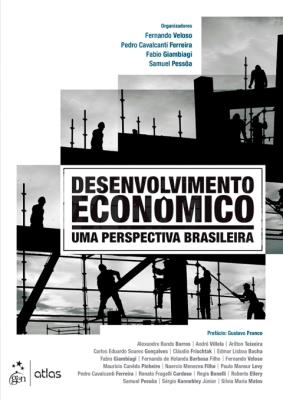 Desenvolvimento econômico : uma perspectiva brasileira